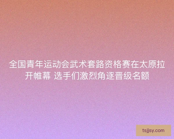 全国青年运动会武术套路资格赛在太原拉开帷幕 选手们激烈角逐晋级名额