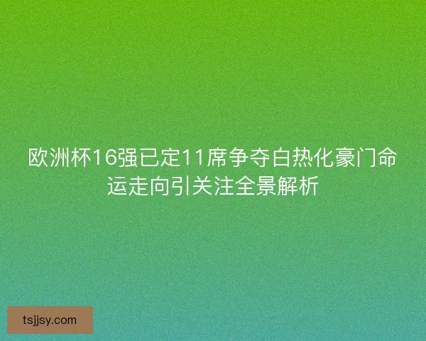 欧洲杯16强已定11席争夺白热化豪门命运走向引关注全景解析